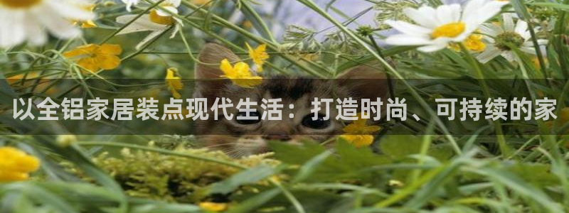 九游会网址是多少