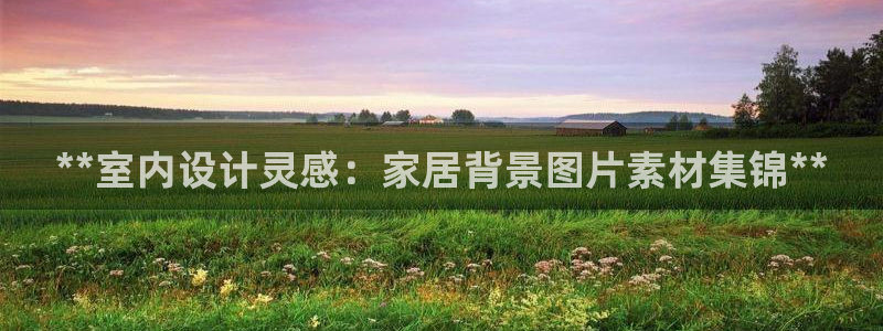 九游会中国入口嘛