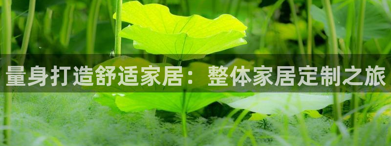 J9九游会官网app