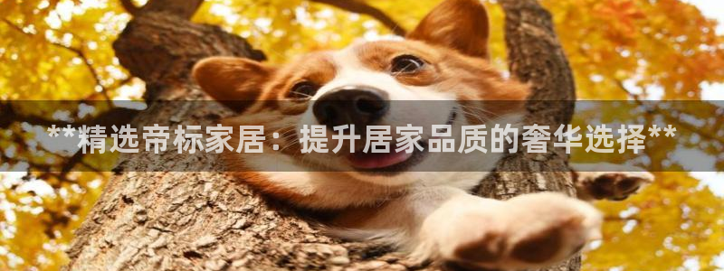 九游会手机登陆