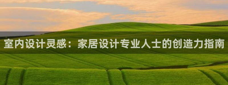 九游j9会