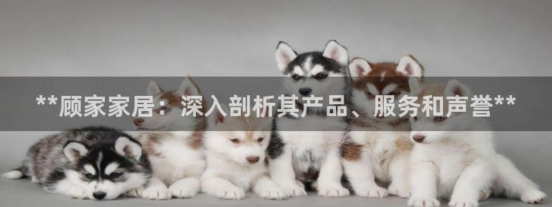 ag九游网
