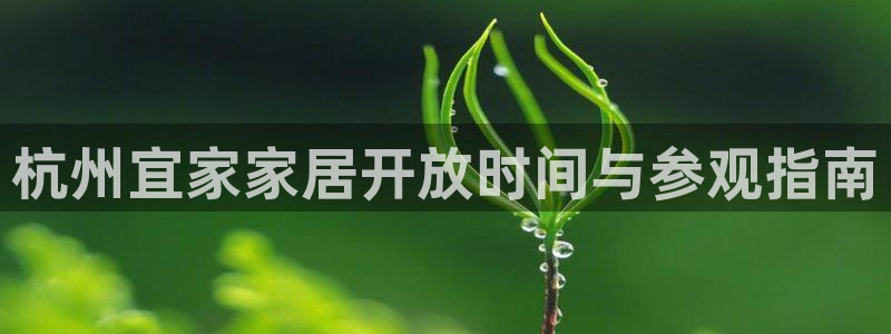 J9九游会老哥俱乐部官方