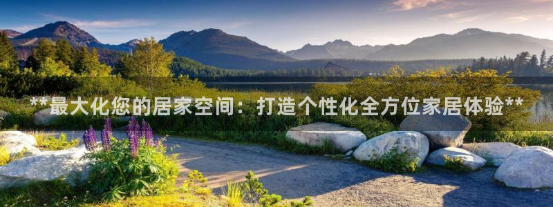 九游会是干嘛的软件
