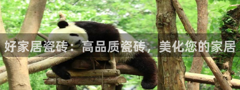 九游会登陆中心