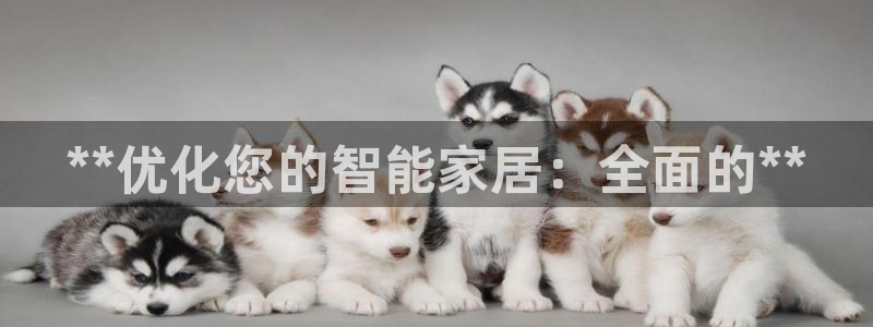 九游会跟ag是怎么一回事