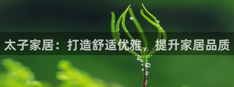 j9九游会买u多少一个