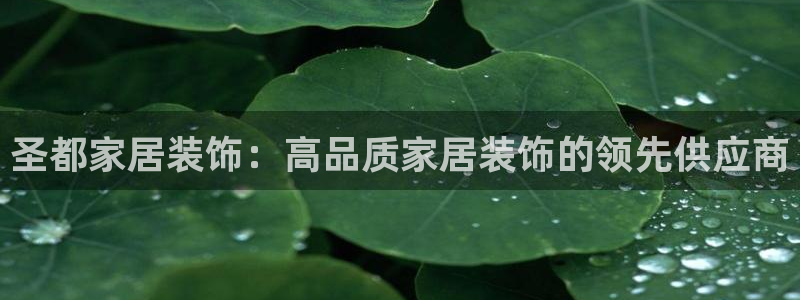 九游会 app