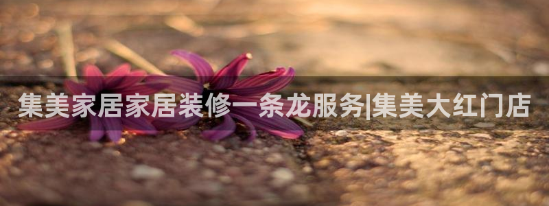 j9九游会app在哪里