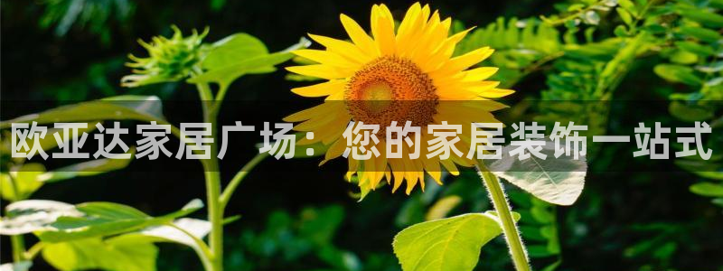 九游会.com