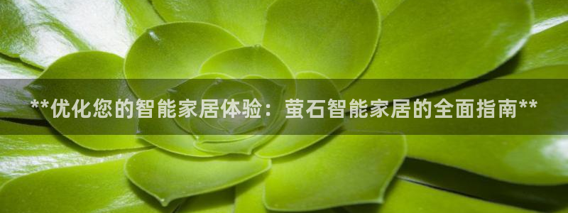 九游会登录网址多少