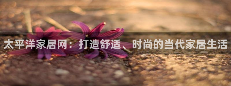 九游会视讯,九游会视讯厅