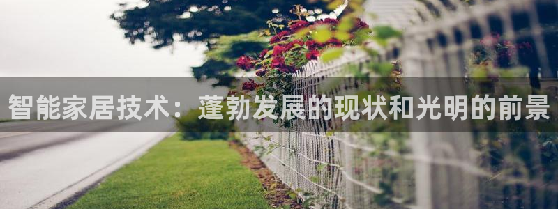 j9游会真人游戏第一品牌