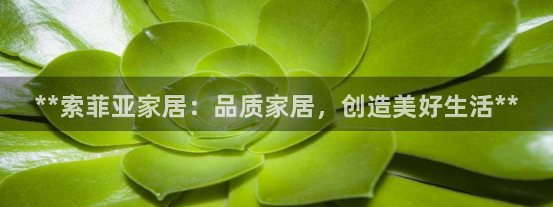 j9九游会登陆入口