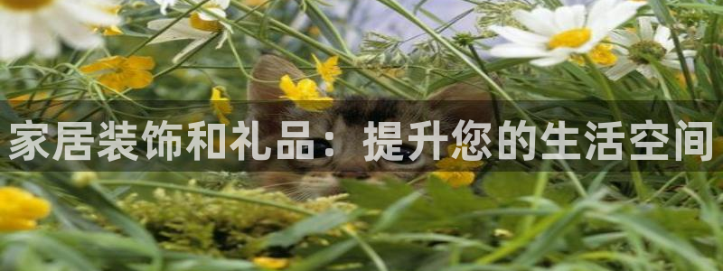 九游会老哥俱乐部官方网站