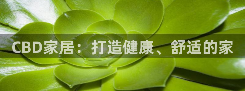 九游会j9官网登陆