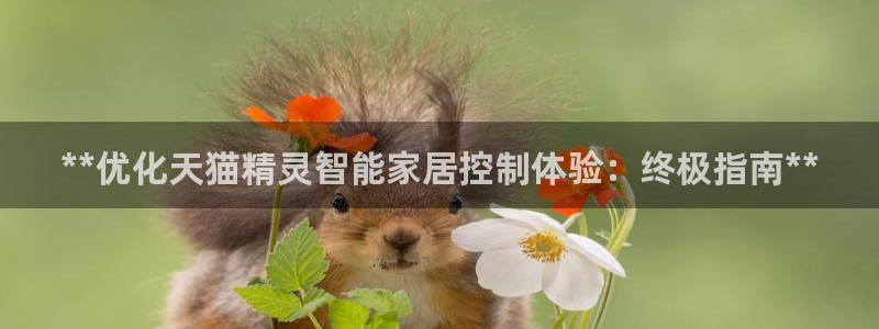 j9九游会ag8手机aPP