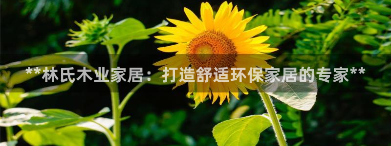 九游会ag真人官网