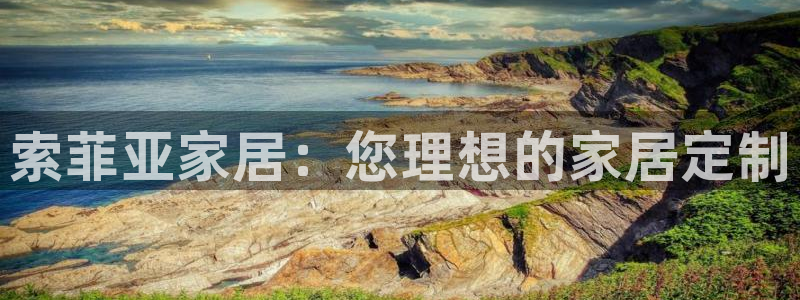 九游会网址是多少