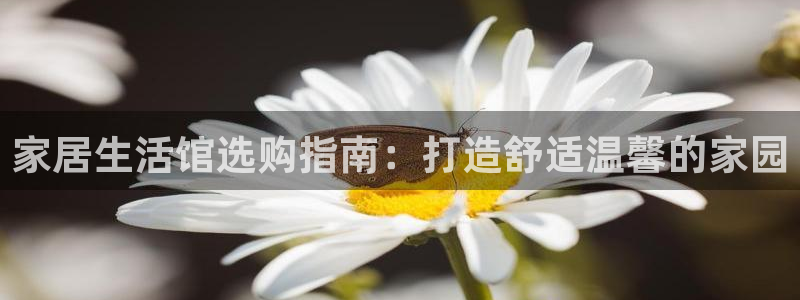 ag九游会app下载版官网正版
