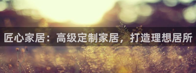 九游会是干嘛的