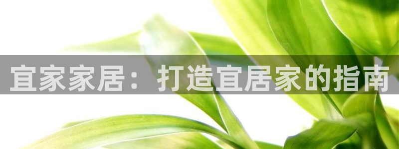 九游会j9官网网站
