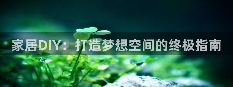 九游会官网地址