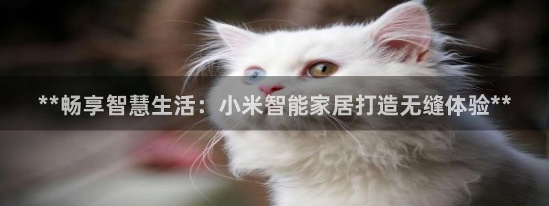 九游会老哥论坛