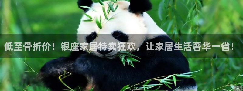 九游会是真的吗