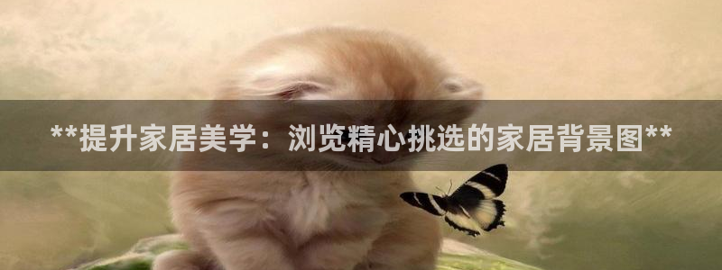 九游会官网站