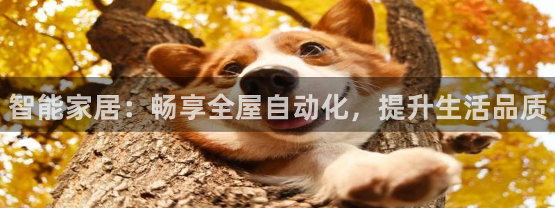 九游会首页
