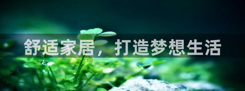 九游会官网首页进入吗