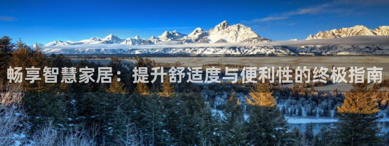 j9九游会官网入口