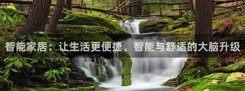 九游J9平台