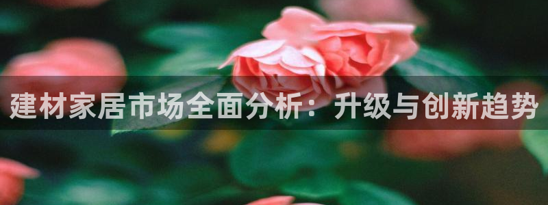 九游会吧