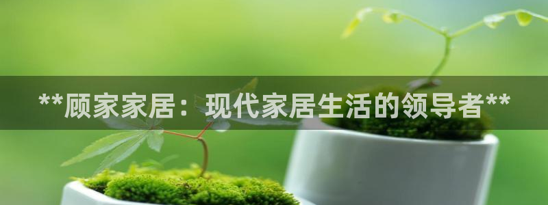 九游会关服吗