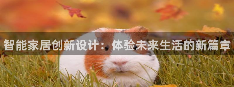 j9官网app