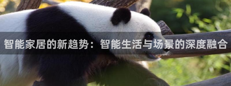 九游会ag老哥俱乐部