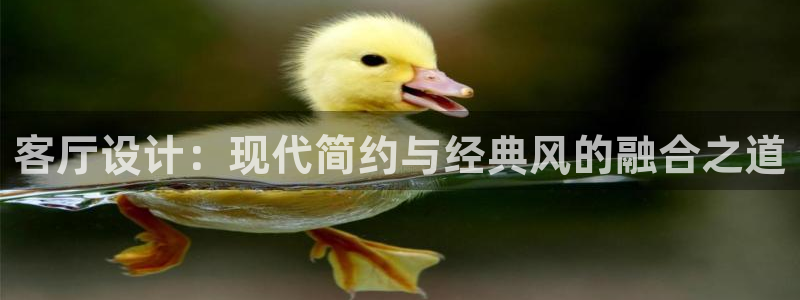 九游会登录网站吗