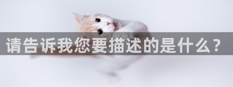 j9九游会怎么样