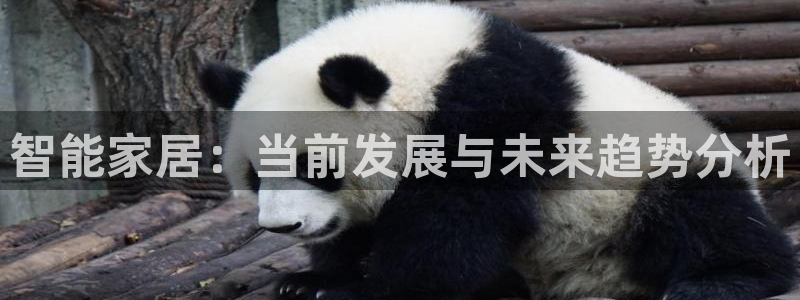 九游会官网贴吧