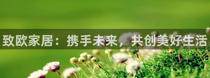 九游会usdt