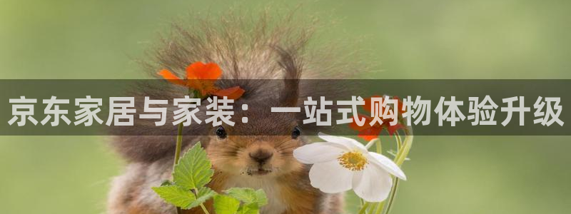 九游会平台j9