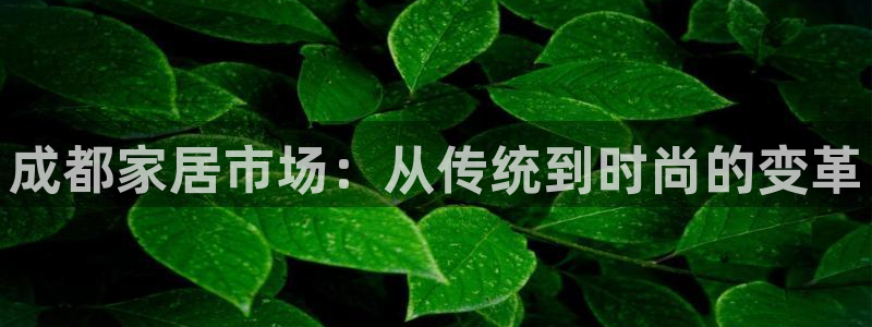 九游J9真人游戏第一 