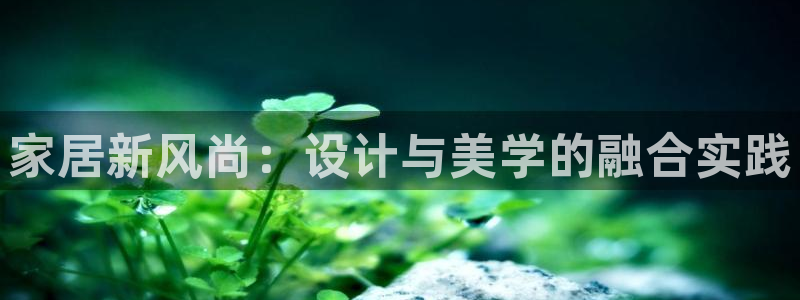 九游会中国入口嘛：家 