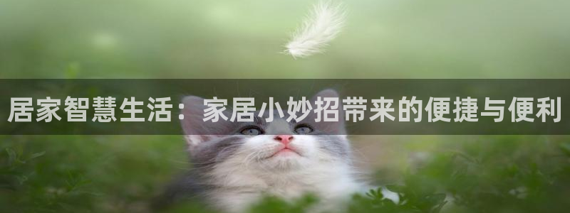 j9九游会app下载