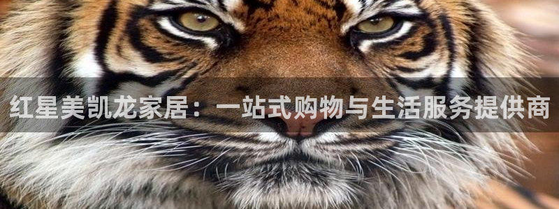 九游会可以提现吗