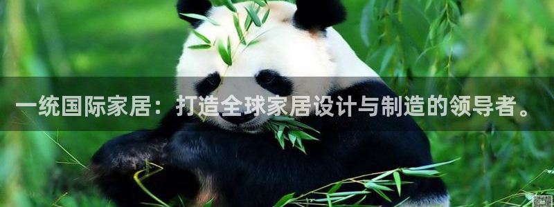 ag九游会论坛
