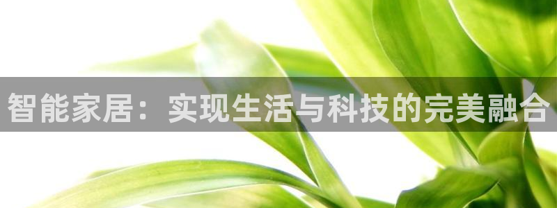 九游会是一个什么网站