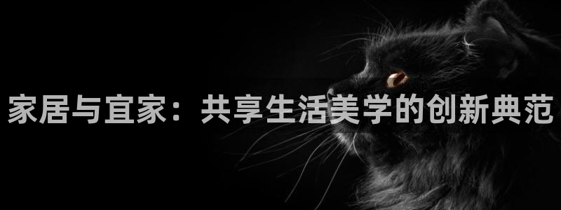 九游会怎么提币：家居 